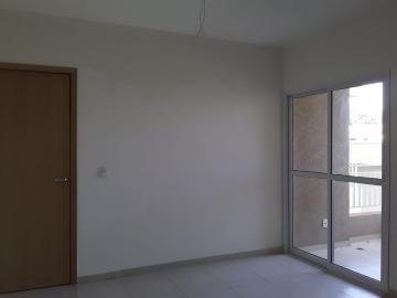 Apartamento 2 dormitórios - Alto Ipiranga