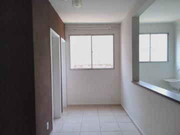 Apartamento Edifício Romanelli - Monte Alegre