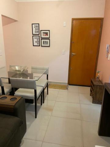 Alugar Apartamento / Térreo em Ribeirão Preto. apenas R$ 1.100,00