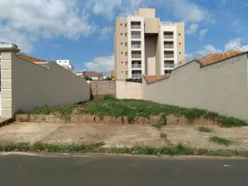 Alugar Terreno / Padrão em Ribeirão Preto. apenas R$ 345.000,00